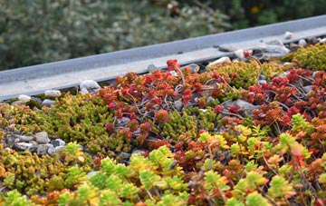 the cost of Darn Hill green roof installation