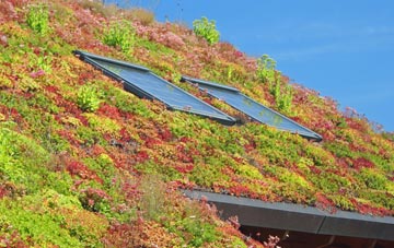 Darn Hill living roof systems